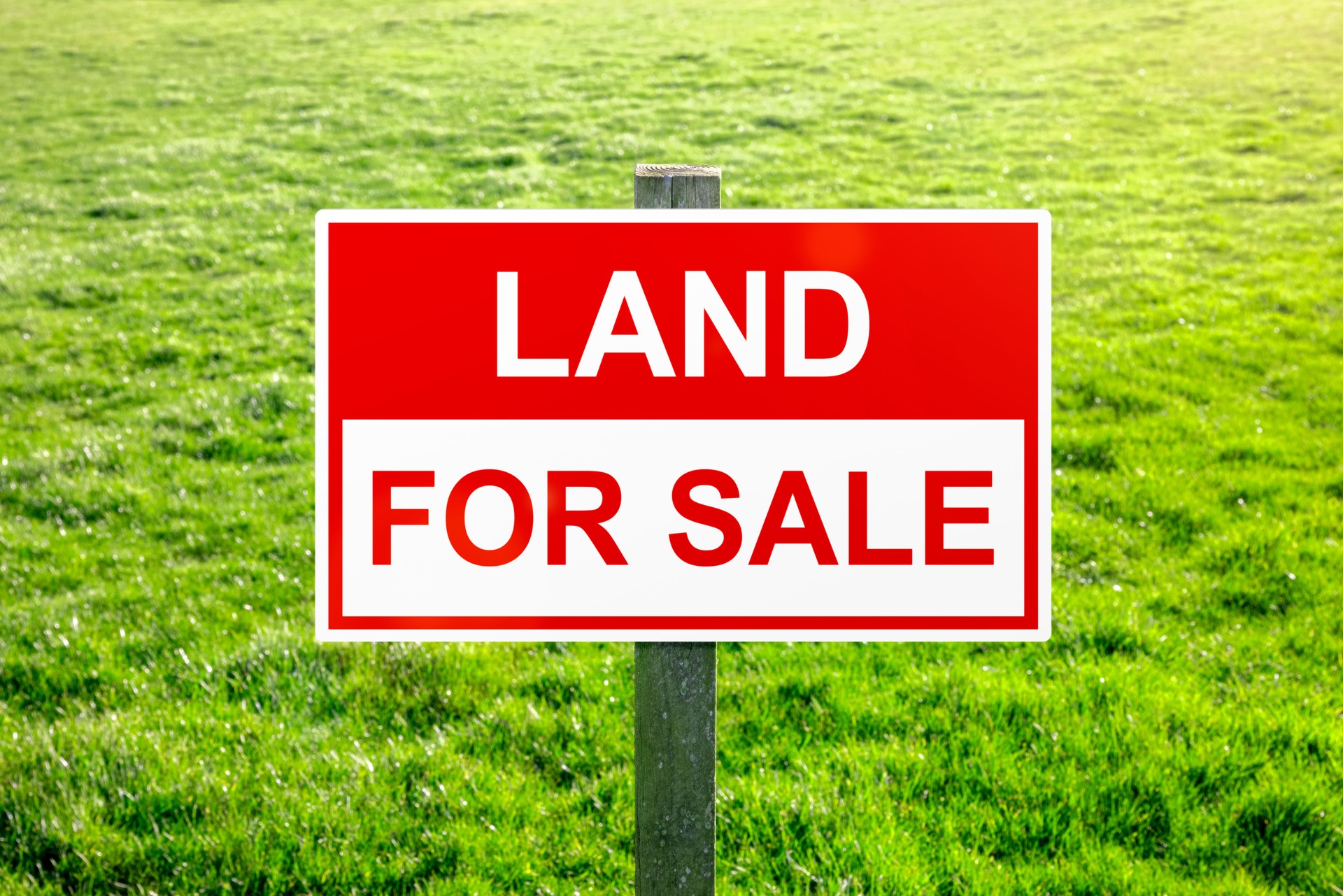 Land for sale sign in green grass field for housing development and construction Land for sale sign in green grass field for housing development and construction